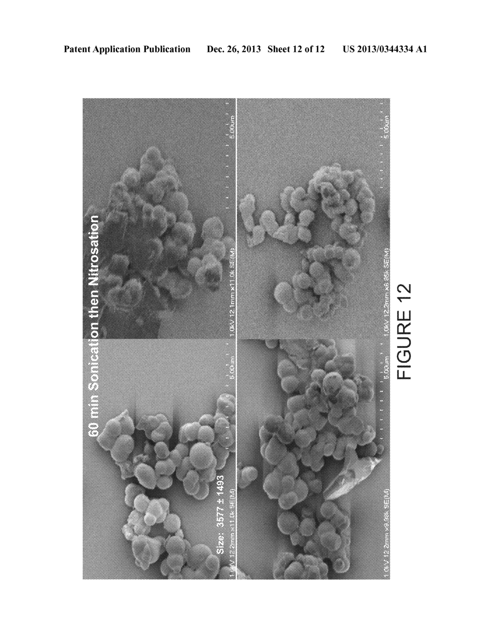 NITRIC OXIDE-RELEASING S-NITROSOTHIOL-MODIFIED SILICA PARTICLES AND     METHODS OF MAKING THE SAME - diagram, schematic, and image 13