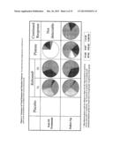 HEPATITIS C VIRUS VARIANTS diagram and image