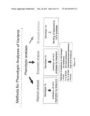 HEPATITIS C VIRUS VARIANTS diagram and image