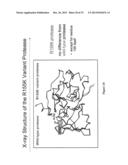 HEPATITIS C VIRUS VARIANTS diagram and image