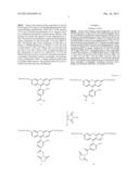 DYES AND METHODS OF MARKING BIOLOGICAL MATERIAL diagram and image