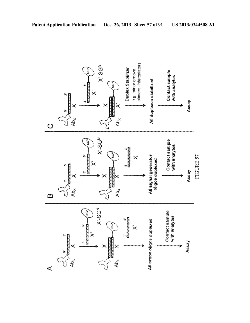 Methods and/or Use of Oligonucleotide Conjugates for Suppressing     Background Due to Cross-Hybridization - diagram, schematic, and image 58