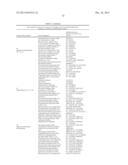 Designer Calvin-Cycle-Channeled and Hydrogenotrophic Production of Butanol     and Related Higher Alcohols diagram and image