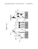 METHODS AND MATERIALS FOR ASSESSING RNA EXPRESSION diagram and image