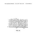 METHOD FOR ASSAYING CELL MOVEMENT diagram and image