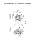 METHOD FOR ASSAYING CELL MOVEMENT diagram and image