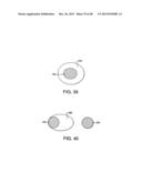 METHOD FOR ASSAYING CELL MOVEMENT diagram and image