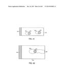 METHOD FOR ASSAYING CELL MOVEMENT diagram and image