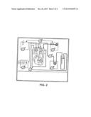 DECELLULARIZATION AND RECELLULARIZATION OF SOLID ORGANS diagram and image