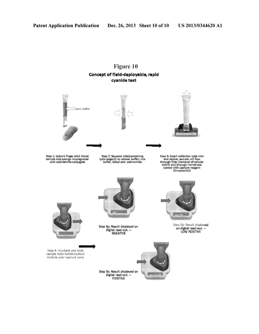 KITS AND METHODS FOR CYANIDE DETECTION - diagram, schematic, and image 11