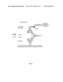 METHODS FOR DETERMINING ANTI-DRUG ANTIBODY ISOTYPES diagram and image