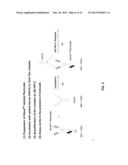 METHODS FOR DETERMINING ANTI-DRUG ANTIBODY ISOTYPES diagram and image