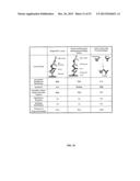 METHODS FOR DETERMINING ANTI-DRUG ANTIBODY ISOTYPES diagram and image