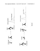 METHODS FOR DETERMINING ANTI-DRUG ANTIBODY ISOTYPES diagram and image