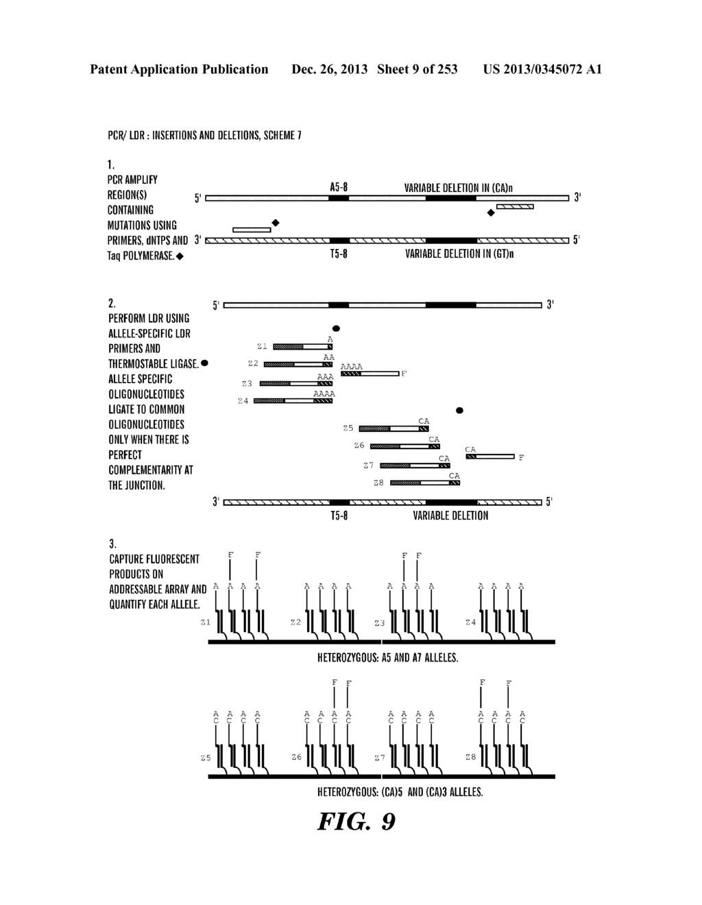 METHOD OF DESIGNING ADDRESSABLE ARRAY SUITABLE FOR DETECTION OF NUCLEIC     ACID SEQUENCE DIFFERENCES USING LIGASE DETECTION REACTION - diagram, schematic, and image 10