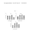 COMPOSITION FOR PROMOTING HEMATOGENESIS CONTAINING QUERCETIN     3-O-beta-(2  -GALLOYL)-RHAMNOPYRANOSIDE AS ACTIVE INGREDIENT diagram and image