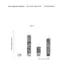 COMPOSITION FOR PROMOTING HEMATOGENESIS CONTAINING QUERCETIN     3-O-beta-(2  -GALLOYL)-RHAMNOPYRANOSIDE AS ACTIVE INGREDIENT diagram and image