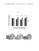 COMPOSITION FOR PROMOTING HEMATOGENESIS CONTAINING QUERCETIN     3-O-beta-(2  -GALLOYL)-RHAMNOPYRANOSIDE AS ACTIVE INGREDIENT diagram and image