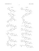 CYCLIC BORONIC ACID ESTER DERIVATIVES AND THERAPEUTIC USES THEREOF diagram and image