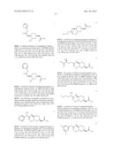 CYCLIC BORONIC ACID ESTER DERIVATIVES AND THERAPEUTIC USES THEREOF diagram and image