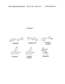 PHENOXY THIOPHENE SULFONAMIDES AND OTHER COMPOUNDS FOR USE AS INHIBITORS     OF BACTERIAL GLUCURONIDASE diagram and image