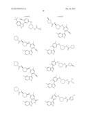 INHIBITORS OF INFLUENZA VIRUSES REPLICATION diagram and image