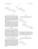 COMPOUNDS THAT MODULATE INTRACELLULAR CALCIUM diagram and image