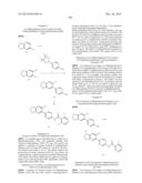 COMPOUNDS THAT MODULATE INTRACELLULAR CALCIUM diagram and image