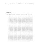 USE OF STATHMIN AS A BIOMARKER OF DRUG RESPONSE TO FURAZANOBENZIMIDAZOLES diagram and image