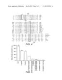 METHODS AND COMPOSITIONS FOR MODULATING P300/CBP ACTIVITY diagram and image