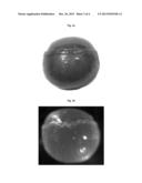 PROCESS FOR THE PREPARATION OF GRANULES BASED ON EXPANDABLE THERMOPLASTIC     POLYMERS AND RELATIVE PRODUCT diagram and image