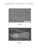 Biodegradable Photoluminescent Polymers diagram and image