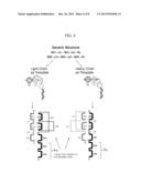 Dual Variable Region Antibody-Like Binding Proteins Having Cross-Over     Binding Region Orientation diagram and image