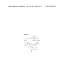 INSECTICIDAL FERMENTATION BROTH FROM ACTINOMYCETES CONTAINING ENHANCED     RATIO OF ACTIVE TO INACTIVE DUNAIMYCINS diagram and image