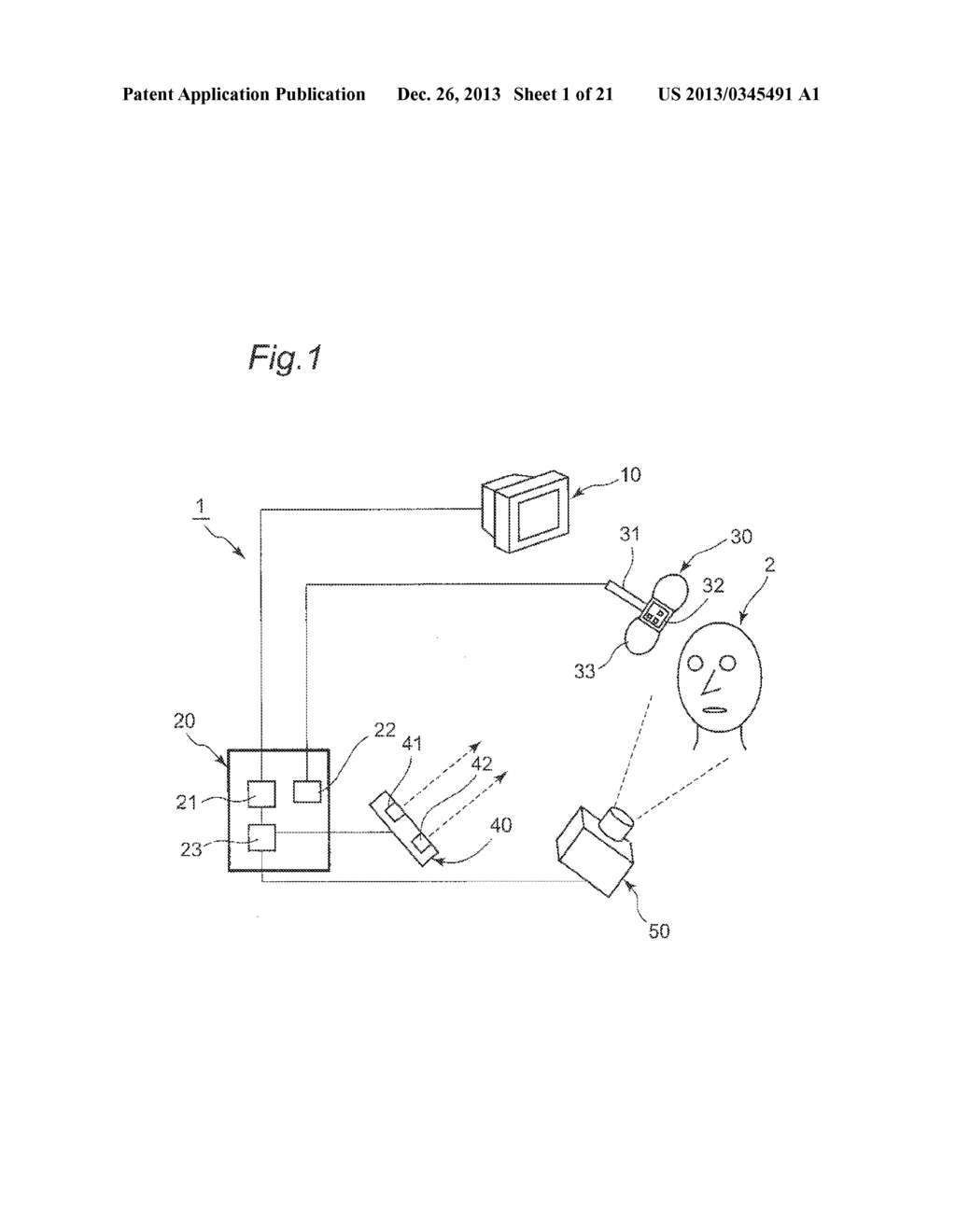 IMAGE DATA PROCESSING DEVICE AND TRANSCRANIAL MAGNETIC STIMULATION     APPARATUS - diagram, schematic, and image 02