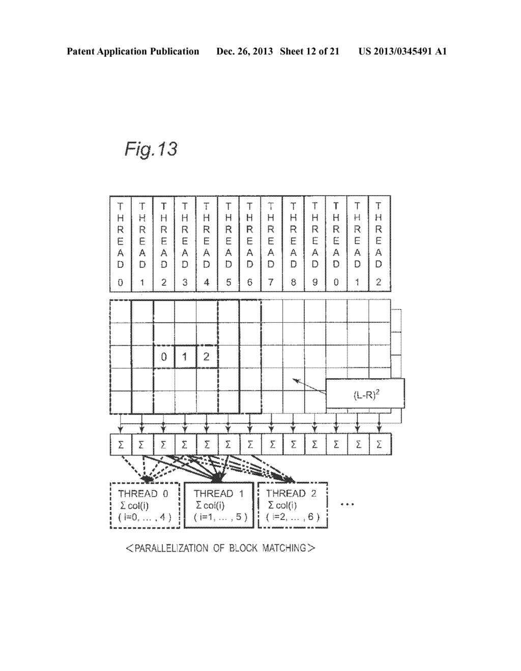 IMAGE DATA PROCESSING DEVICE AND TRANSCRANIAL MAGNETIC STIMULATION     APPARATUS - diagram, schematic, and image 13