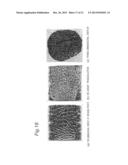 IMAGE DATA PROCESSING DEVICE AND TRANSCRANIAL MAGNETIC STIMULATION     APPARATUS diagram and image