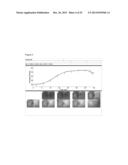 QUANTIFICATION AND ANALYSIS OF ANGIOGRAPHY AND PERFUSION diagram and image