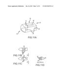 FUSION CAGE WITH COMBINED BIOLOGICAL DELIVERY SYSTEM diagram and image