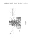 SURGICAL ROBOT PLATFORM diagram and image