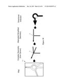 NAVIGATION APPLICATION WITH ADAPTIVE DISPLAY OF GRAPHICAL DIRECTIONAL     INDICATORS diagram and image