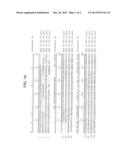 USE OF A SEED SPECIFIC PROMOTER TO DRIVE ODP1 EXPRESSION IN CRUCIFEROUS     OILSEED PLANTS TO INCREASE OIL CONTENT WHILE MAINTAINING NORMAL     GERMINATION diagram and image