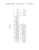 USE OF A SEED SPECIFIC PROMOTER TO DRIVE ODP1 EXPRESSION IN CRUCIFEROUS     OILSEED PLANTS TO INCREASE OIL CONTENT WHILE MAINTAINING NORMAL     GERMINATION diagram and image