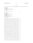 USE OF A SEED SPECIFIC PROMOTER TO DRIVE ODP1 EXPRESSION IN CRUCIFEROUS     OILSEED PLANTS TO INCREASE OIL CONTENT WHILE MAINTAINING NORMAL     GERMINATION diagram and image