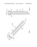 BONE PLATE HAVING COMBINATION LOCKING AND COMPRESSION SCREW HOLES diagram and image