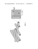 Nanonet-Based Hematite Hetero-Nanostructures for Solar Energy Conversions     and Methods of Fabricating Same diagram and image