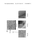 Nanonet-Based Hematite Hetero-Nanostructures for Solar Energy Conversions     and Methods of Fabricating Same diagram and image