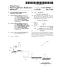 SELF-SUSPENDING PROPPANTS FOR HYDRAULIC FRACTURING diagram and image