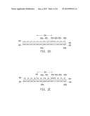 SEMICONDUCTOR PACKAGES HAVING INCREASED INPUT/OUTPUT CAPACITY AND RELATED     METHODS diagram and image