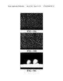 SURFACE-STABILIZED IPS LCD diagram and image